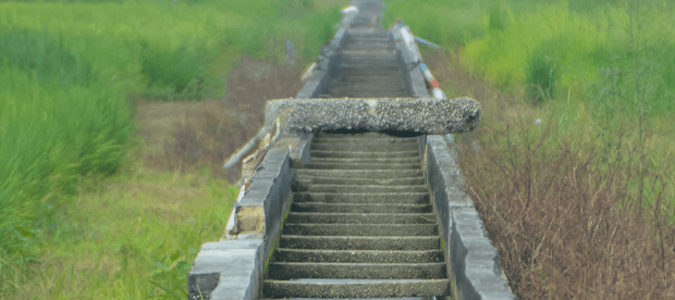 수로 및 펌프장