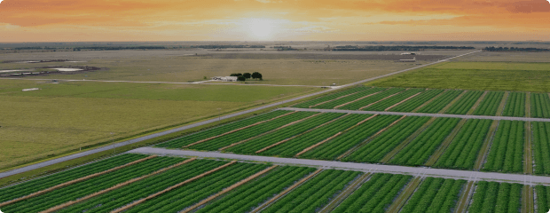 Agriculture